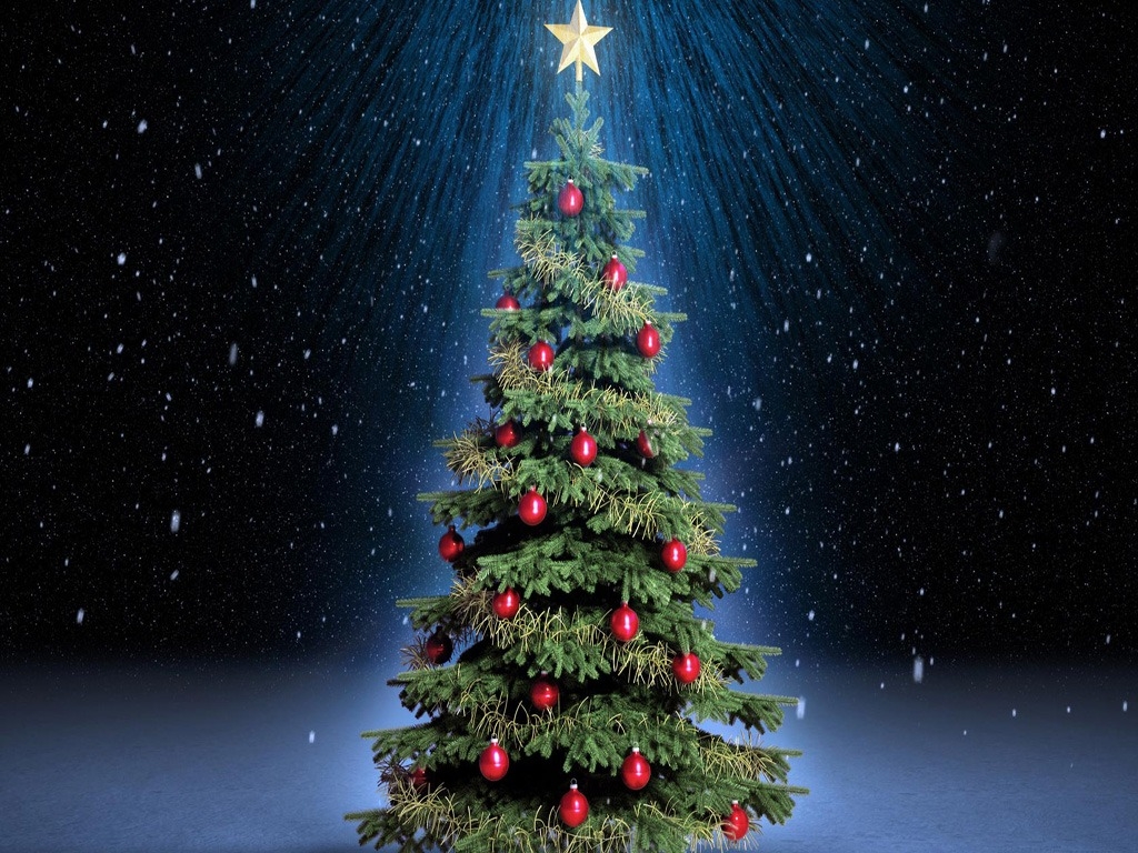 Free Download Christmas Tree Hd Wallpapers For Ipad - Beautiful Christmas Tree Hd - HD Wallpaper 
