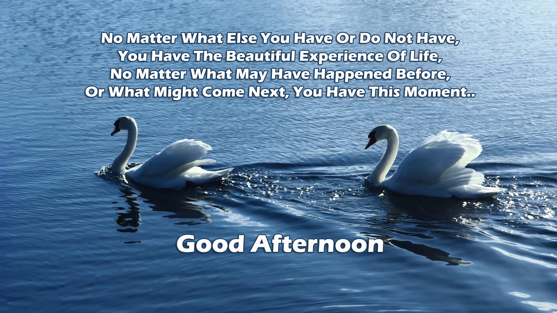 Best Good Afternoon Quotes - HD Wallpaper 