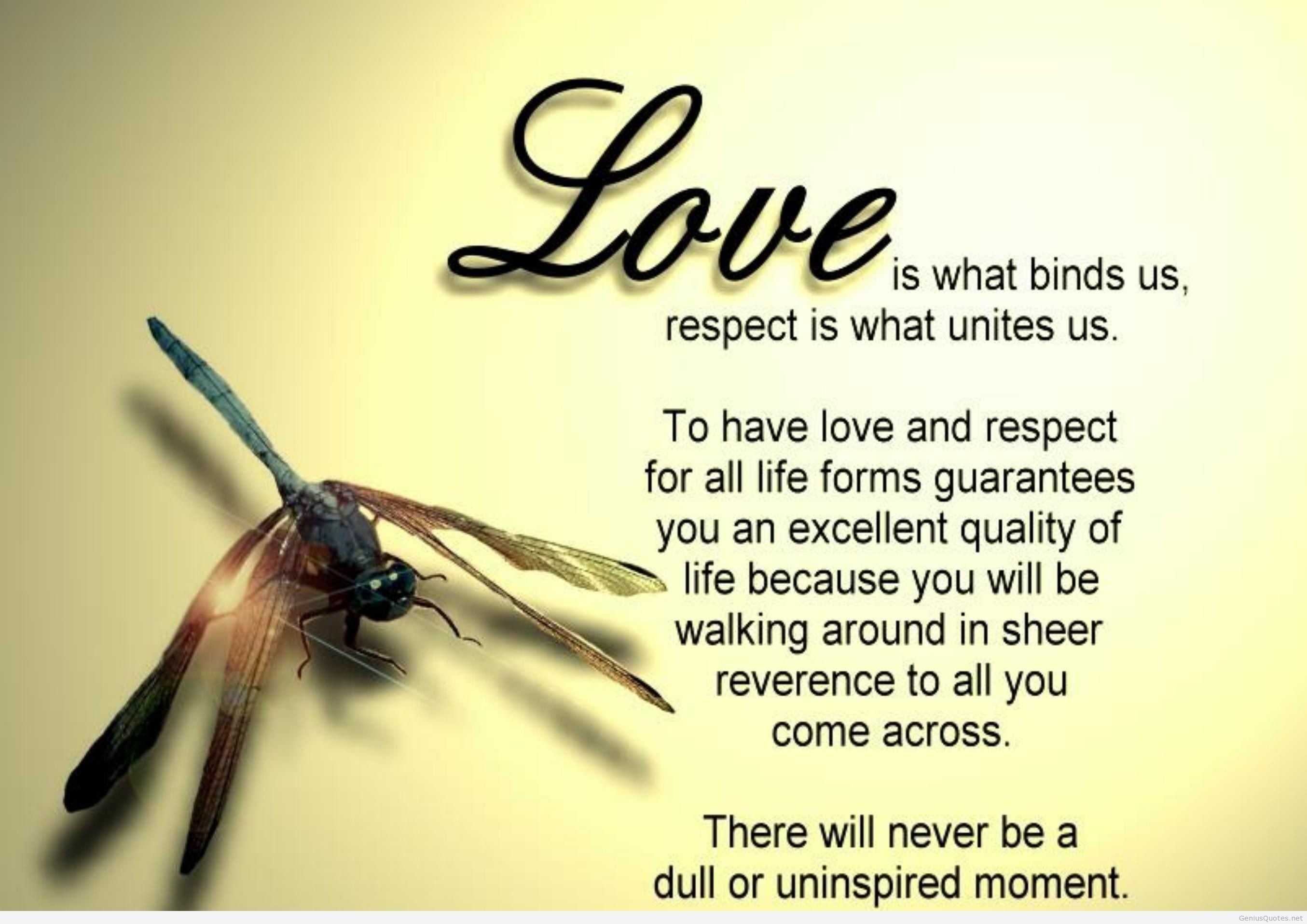 Beautiful Romantic Love Quotes Wallpapers Data Src - Love Wallpapers Love Quotes - 2709x1915 Wallpaper Beautiful Romantic Love Quotes Wallpapers Data Src - Love Wallpapers Love Quotes - 2709x1915 Wallpaper