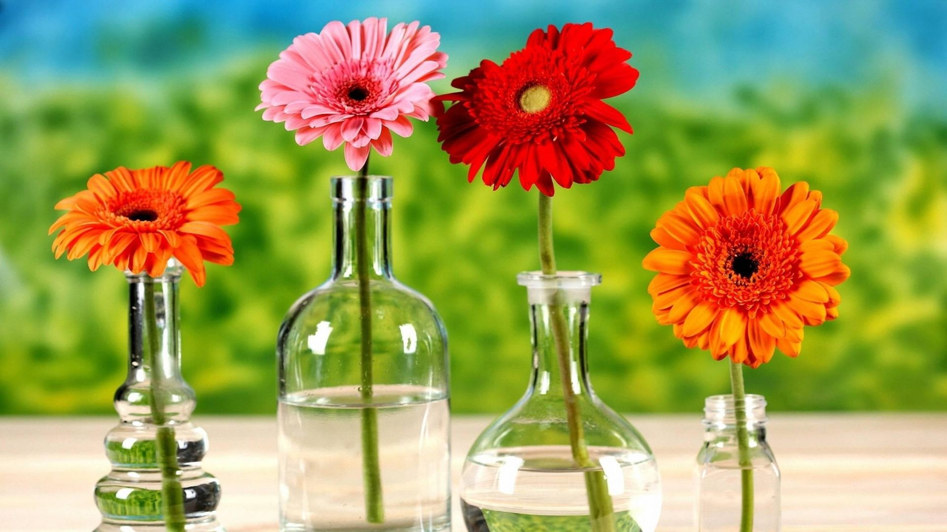 Beautiful Flower In Vase - 1920x1080 Wallpaper Beautiful Flower In Vase - 1920x1080 Wallpaper