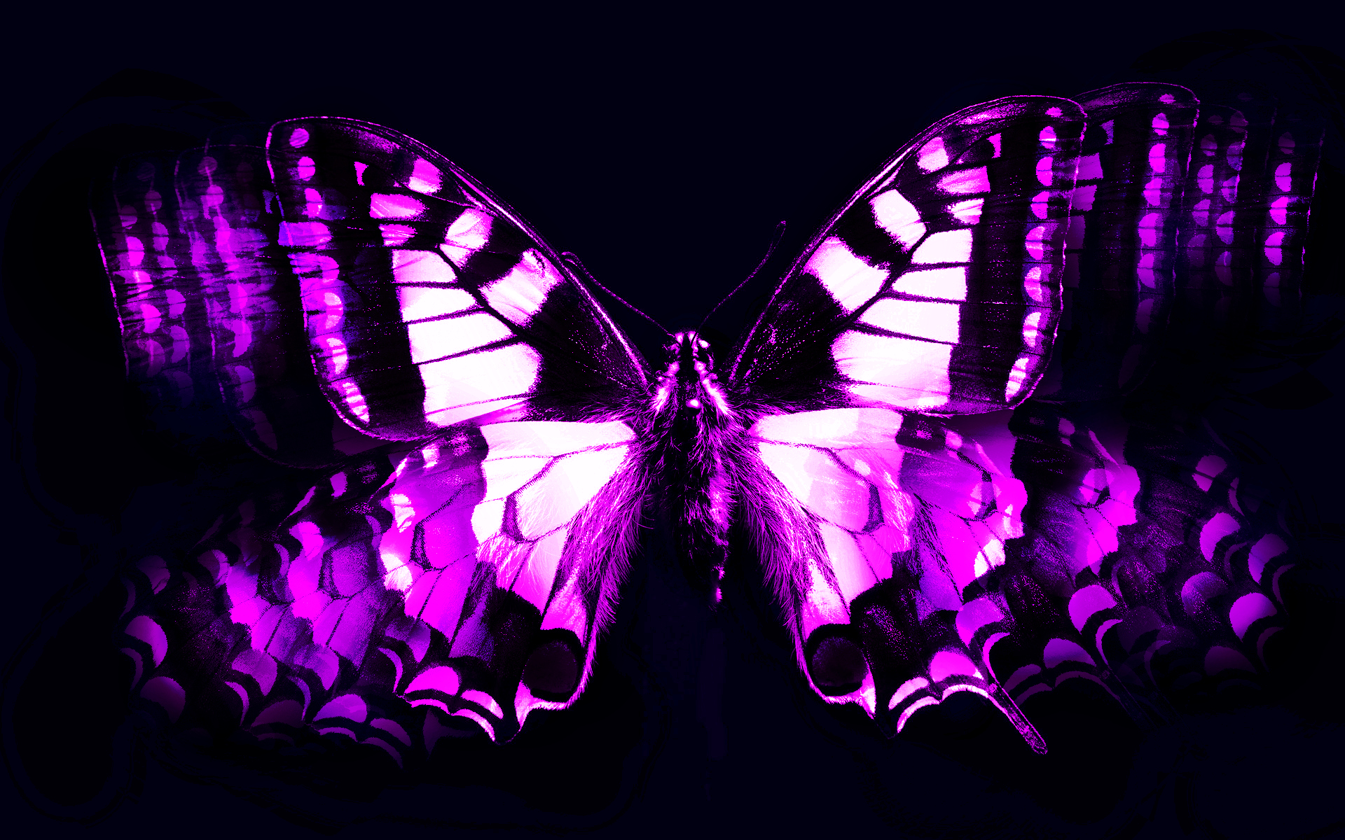 Abstract Wallpaper Purple Butterfly Wallpaper Mobile - Dark Purple Butterfly Background - HD Wallpaper 