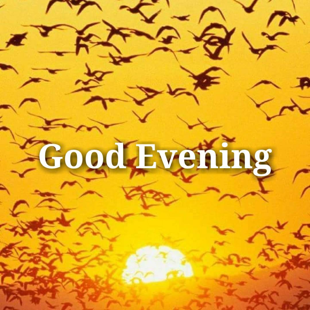 Good Evening Best Images All - Good Evening To All - HD Wallpaper 