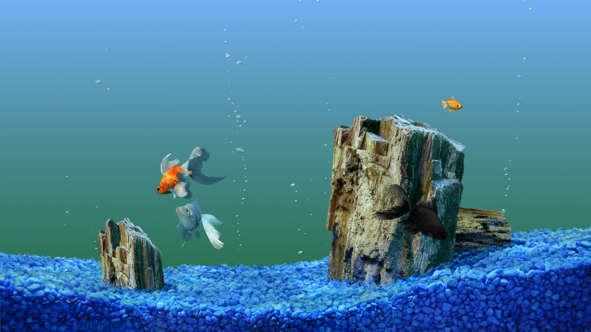 Desktop Backgrounds Fish Tank Moving Photo - Desktop Wallpaper Hd Aquarium - HD Wallpaper 