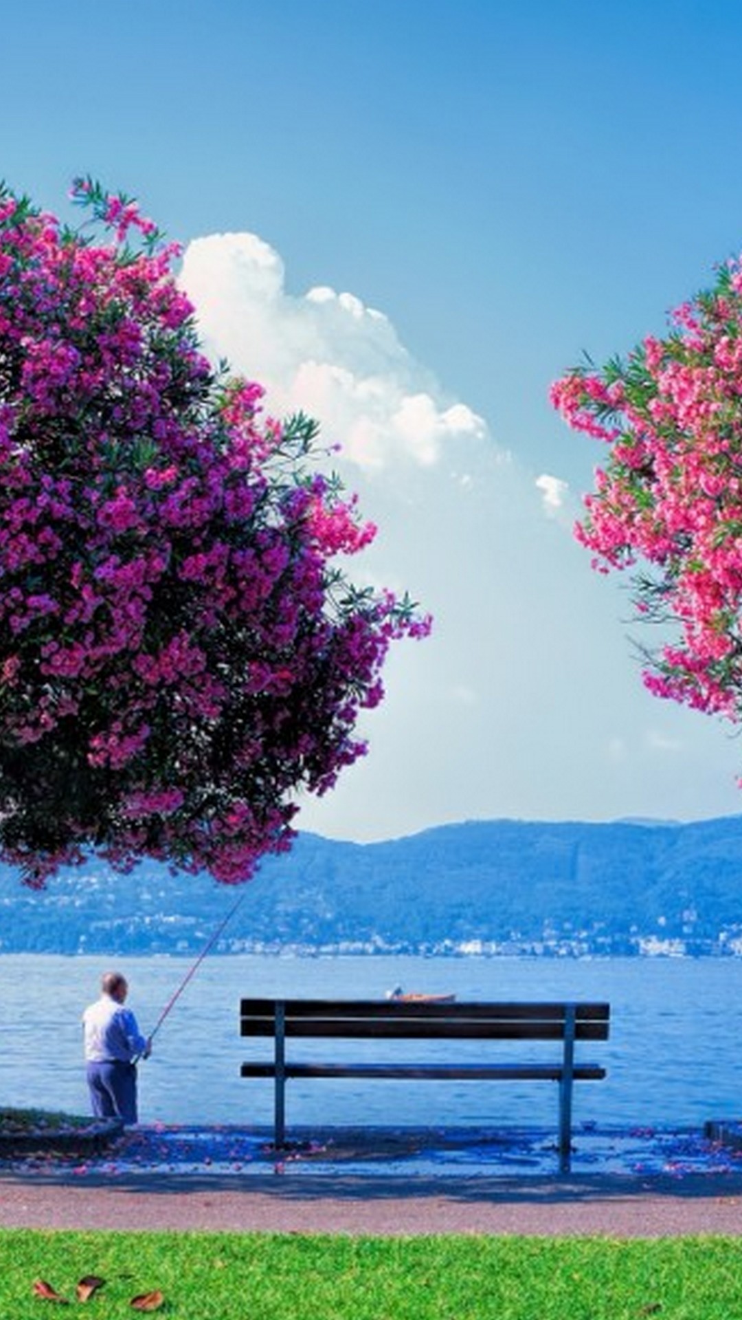 Iphone 8 Wallpaper Beautiful Spring Resolution - Full Screen Nature Wallpaper Download - 1080x1920 Wallpaper Iphone 8 Wallpaper Beautiful Spring Resolution - Full Screen Nature Wallpaper Download - 1080x1920 Wallpaper