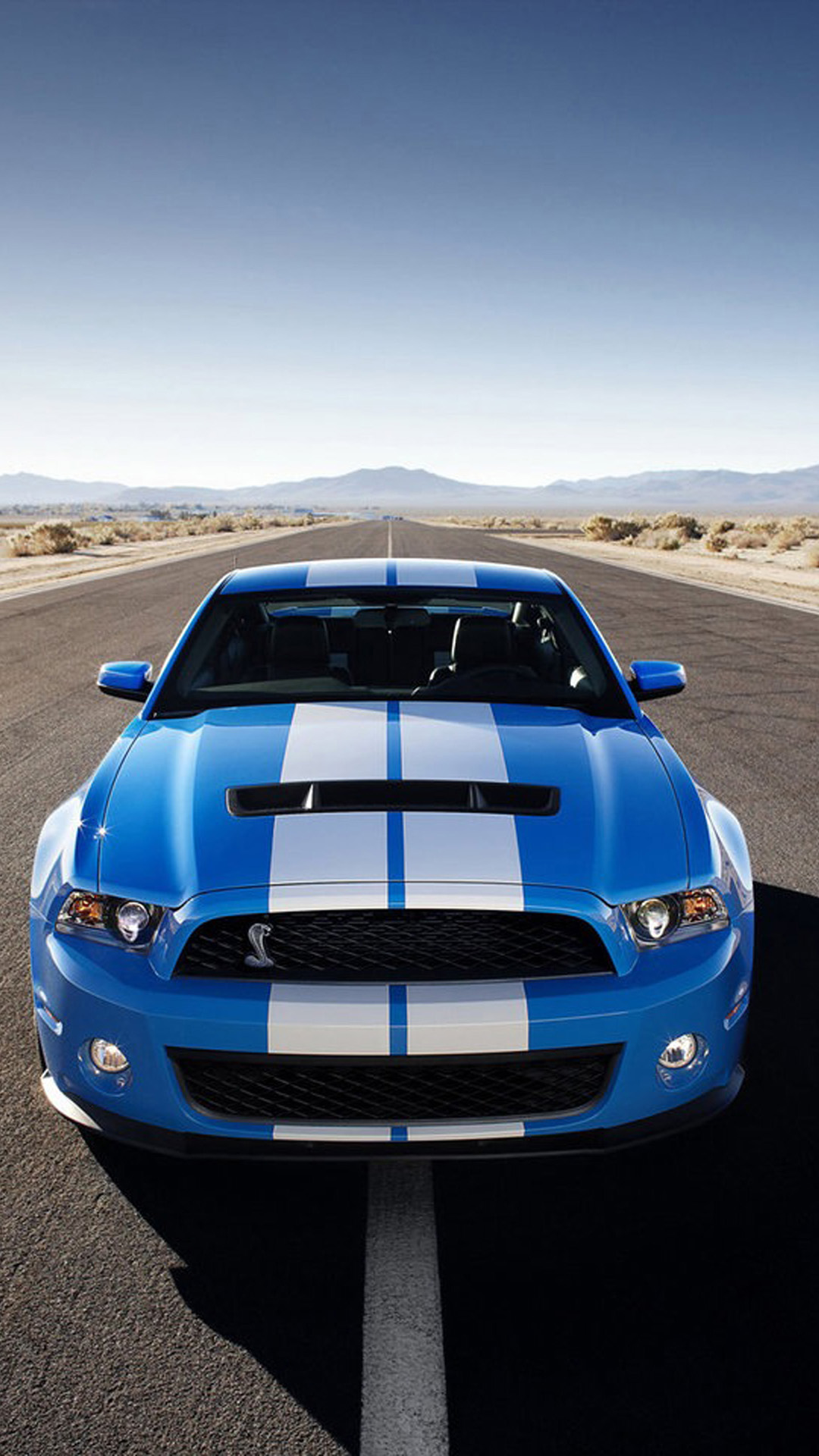 Ford Mustang Shelby Gt 500 - HD Wallpaper 