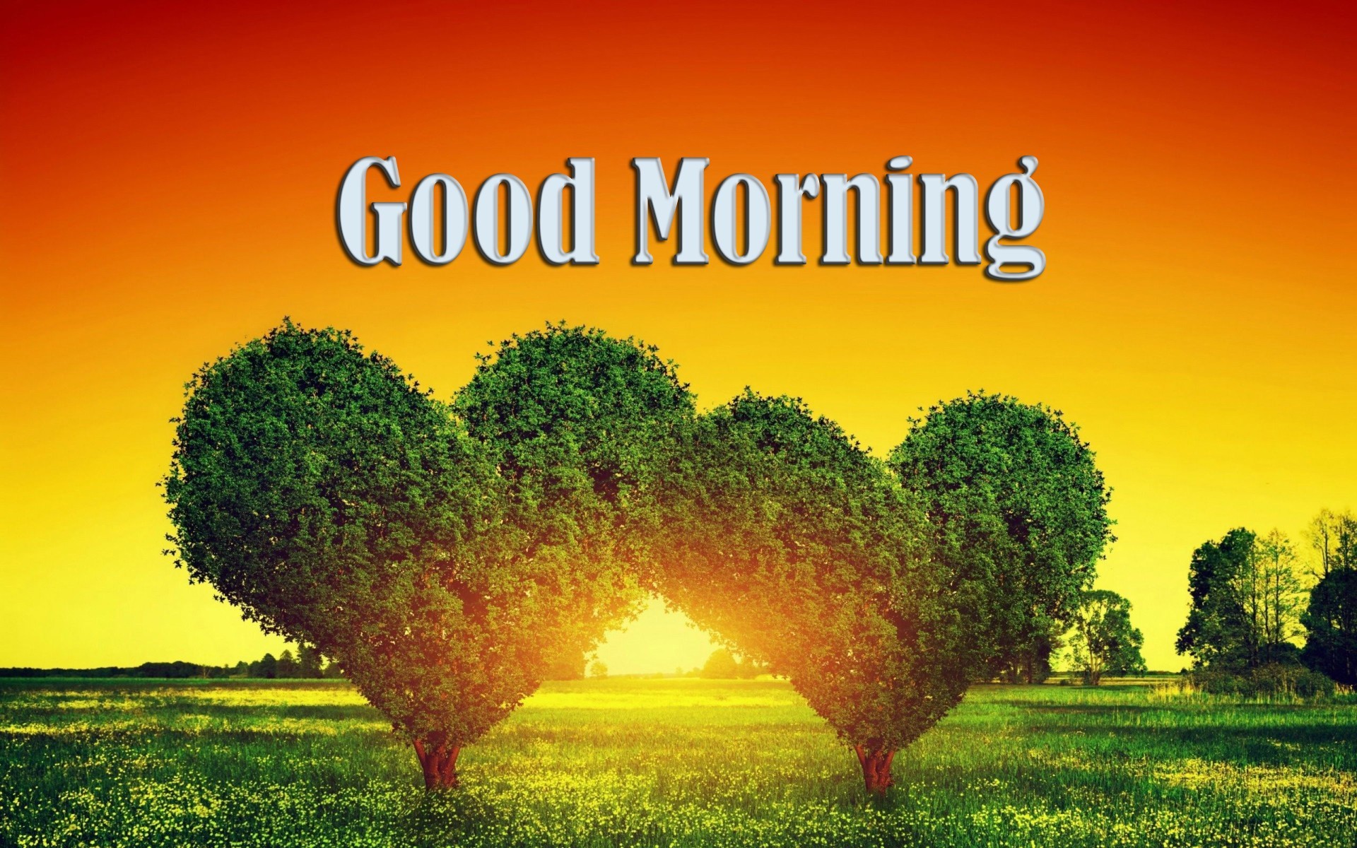 Good Morning Heart Shape Tree High Definition Wallpapers - Hd Good Morning Download - HD Wallpaper 
