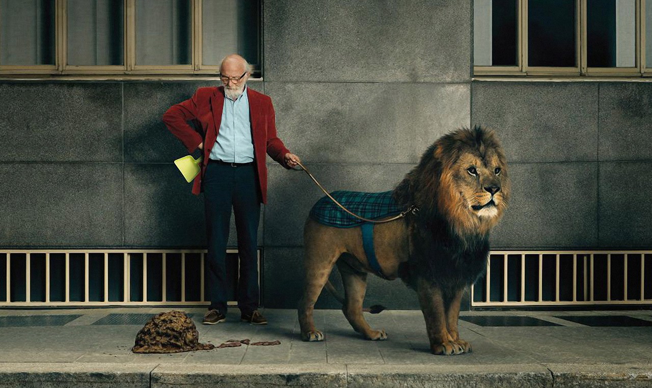 Poop Lion - HD Wallpaper 