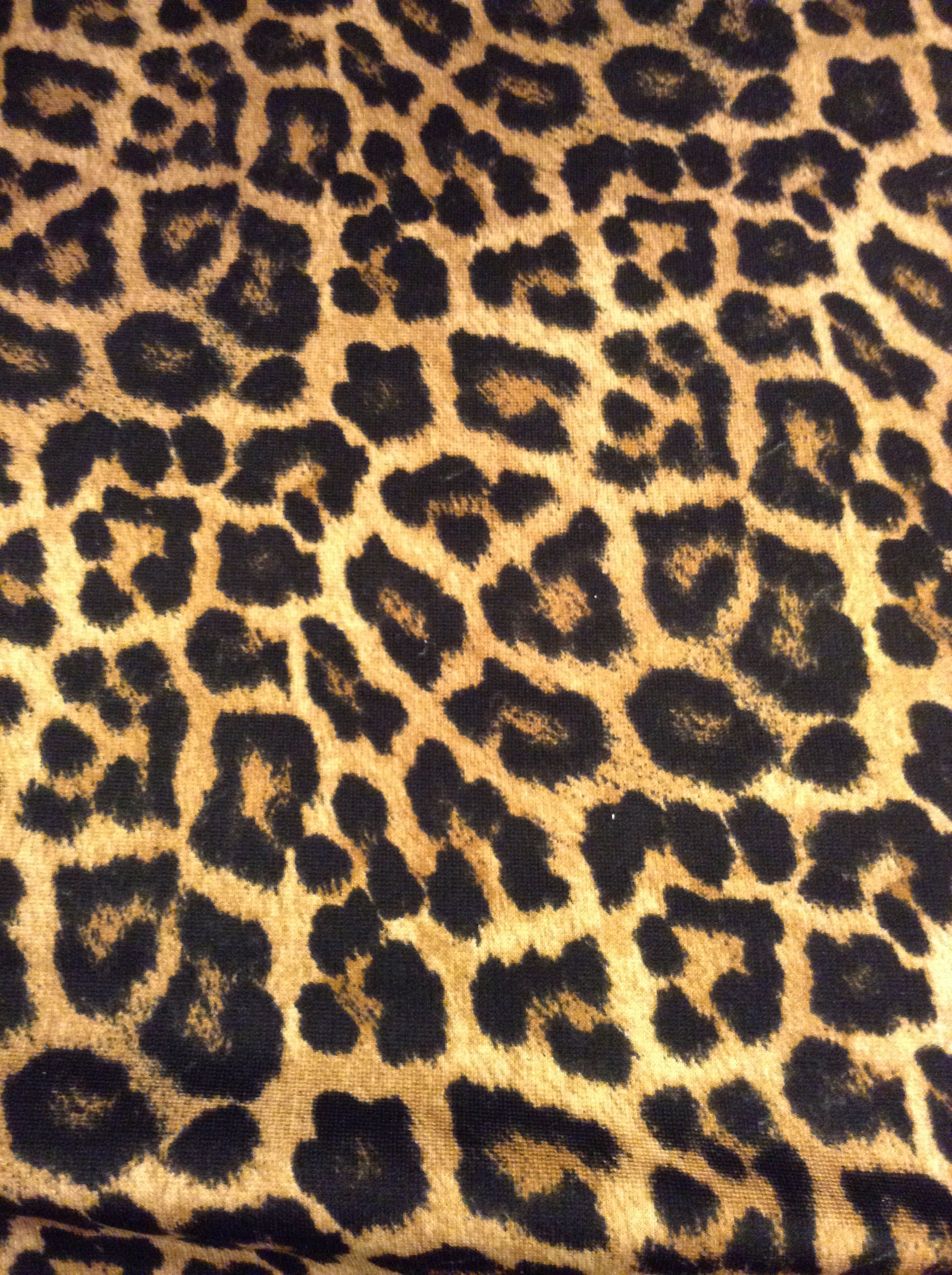 Leopard Print - HD Wallpaper 