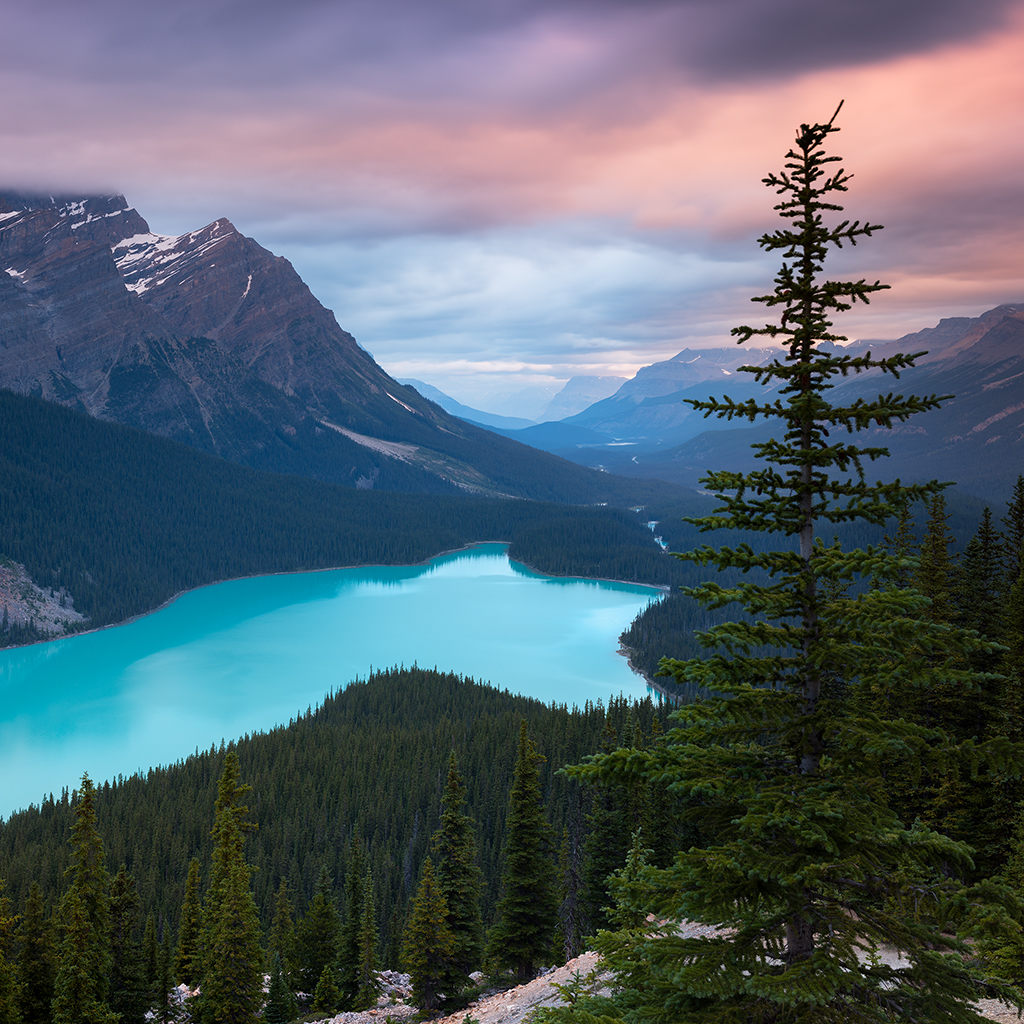 Peyto Lake - HD Wallpaper 