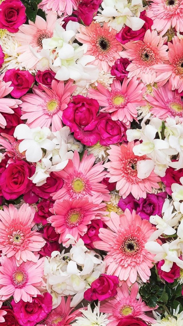 Iphone Pink Flowers Background - HD Wallpaper 