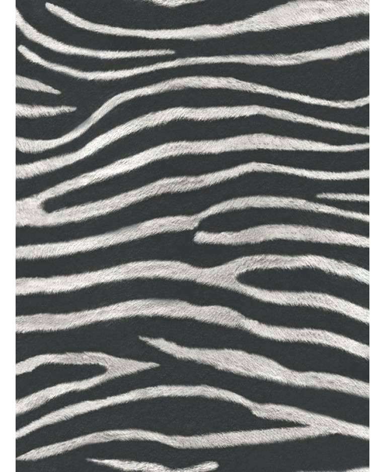 Animal Print Wallpaper Real Wallpaper Black And White - Black And White Striped Zebra - HD Wallpaper 