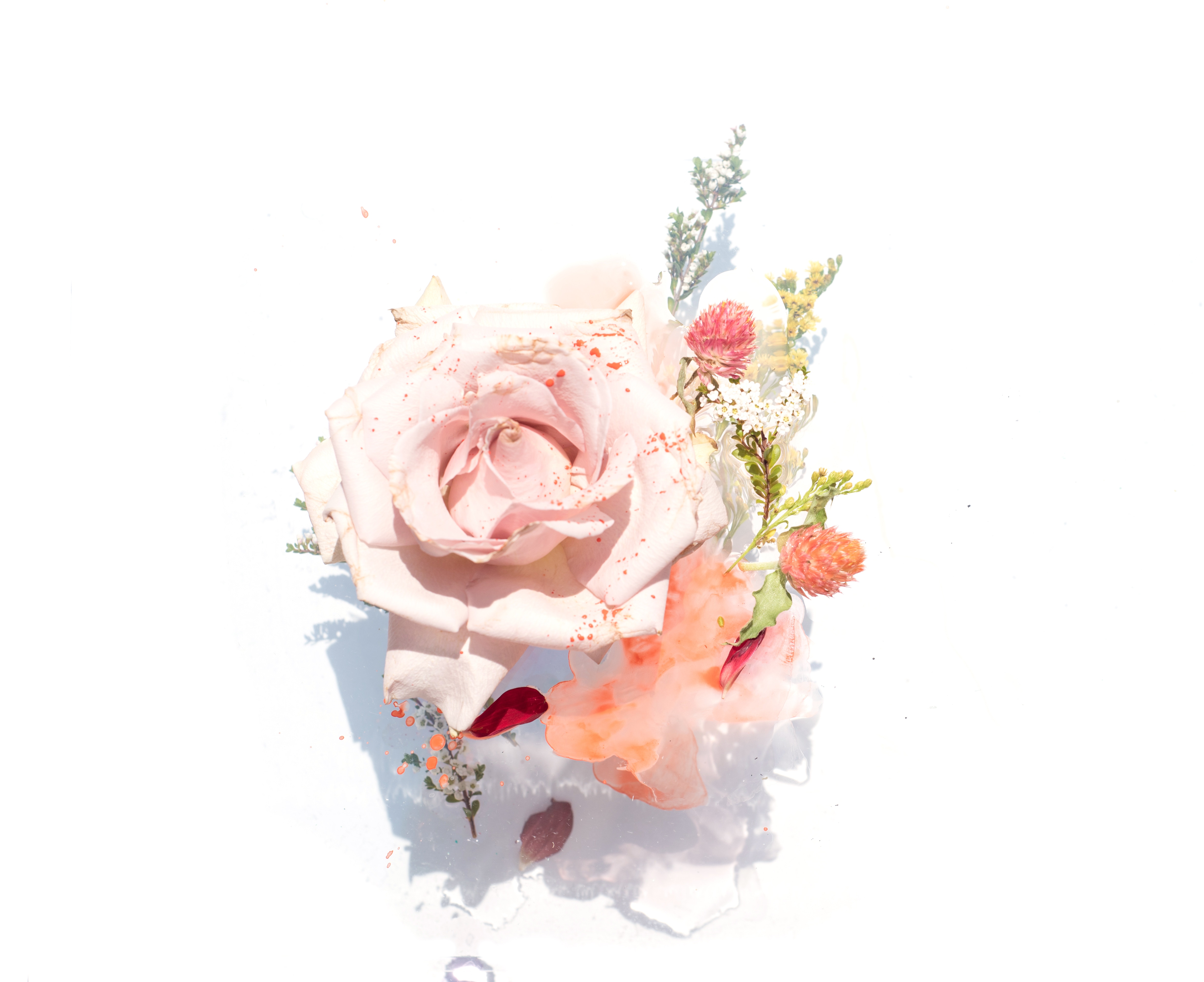 Simple Flower Background - HD Wallpaper 