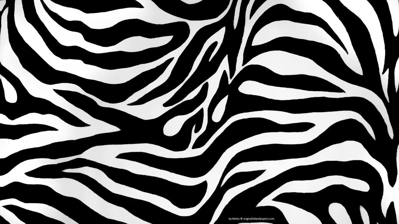 Zebra Print - HD Wallpaper 