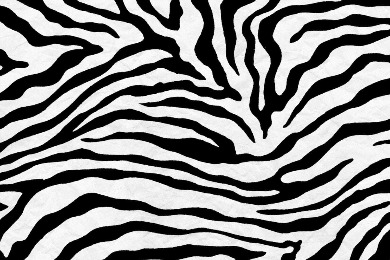 Zebra Stripes Wallpaper - Papel De Parede Zebra - HD Wallpaper 