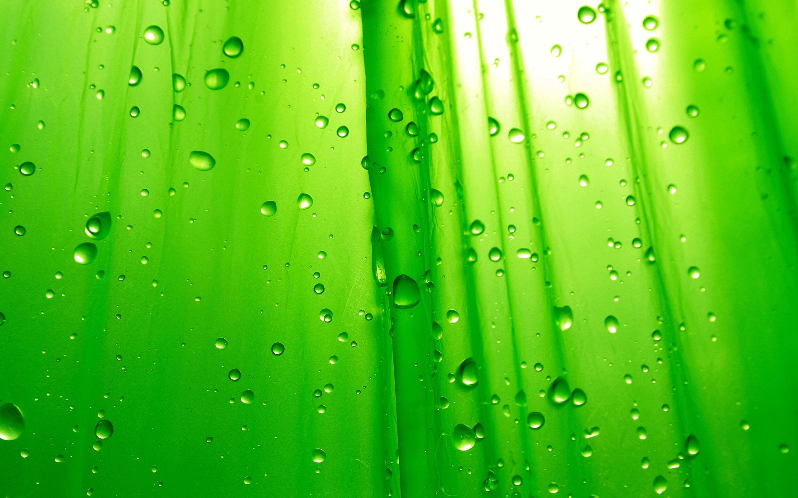 Free Lime Green Wallpaper - HD Wallpaper 