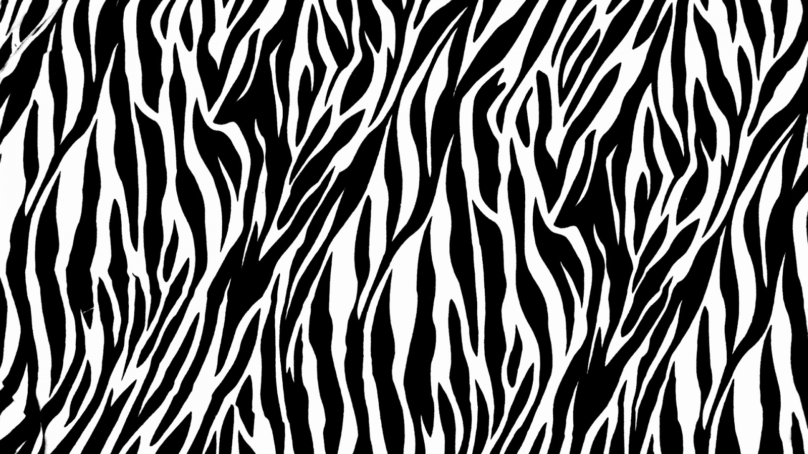Zebra Print - HD Wallpaper 