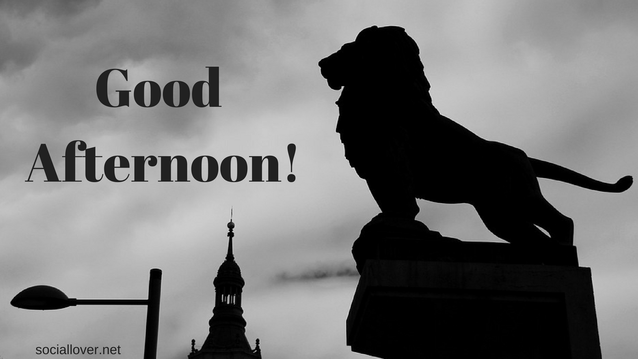 Good Afternoon Hd Images, Wallpapers, Pics, Quotes - Wallpaper - HD Wallpaper 