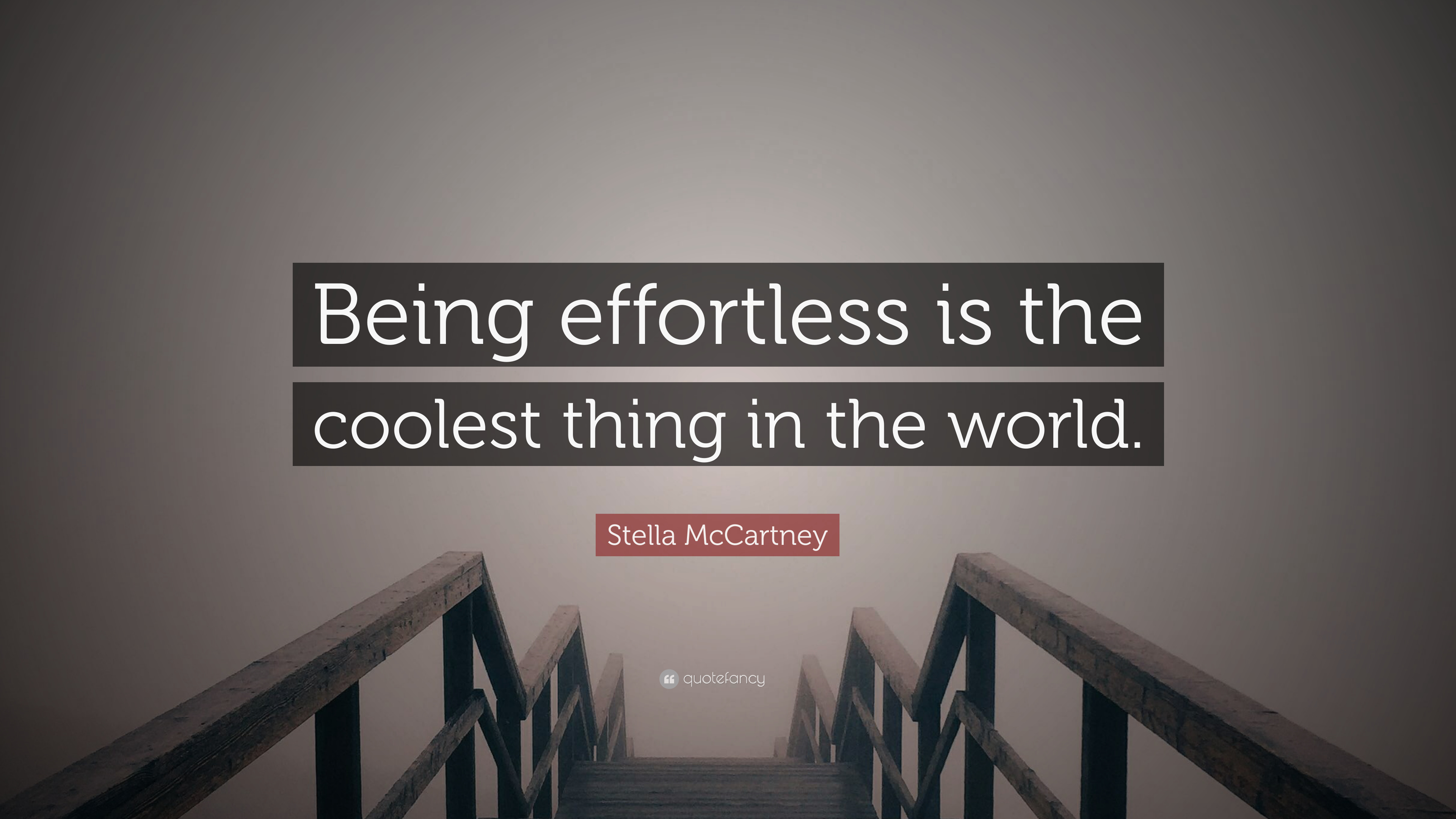Stella Mccartney Quote - Either Win Or Learn - HD Wallpaper 