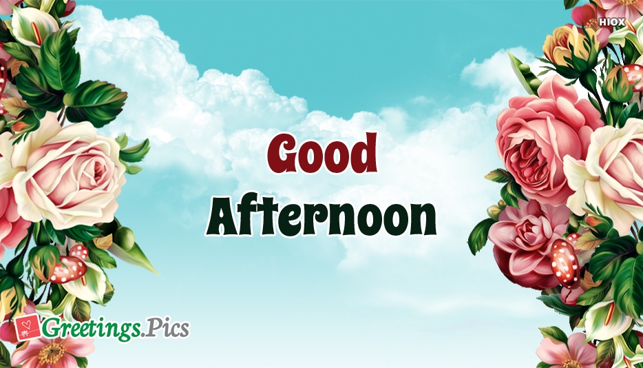 Good Afternoon Wallpaper Hd - Garden Roses - HD Wallpaper 