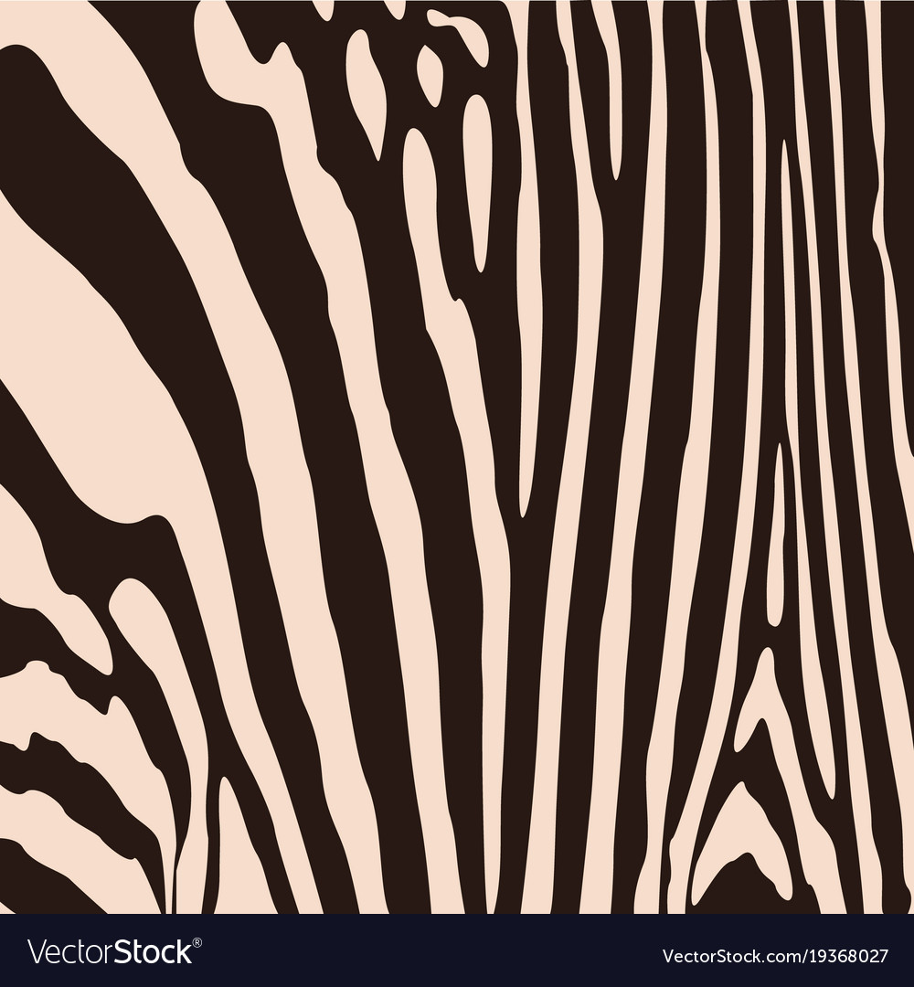 Zebra Pattern - HD Wallpaper 