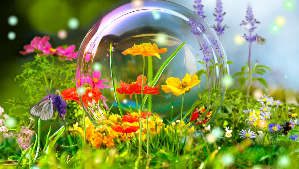 Ball, Reflection, Nature, Meadow, - Flower Nature Wallpaper Hd 3d - 970x550 - teahub.io