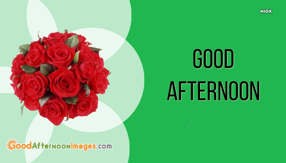 Good Evening Rose Wallpaper - Flower For Birthday Png - HD Wallpaper 