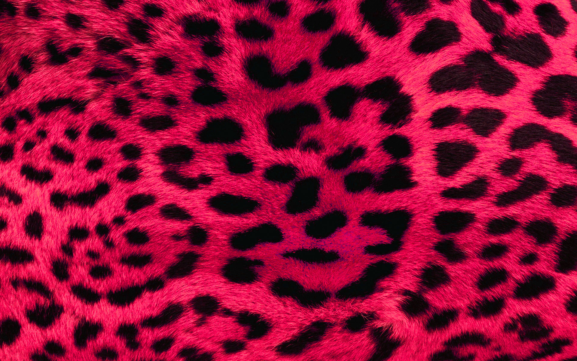 1920x1200, Pink Leopard Print Wallpaper 20506 
 Data - Pink Leopard Print Hd - HD Wallpaper 