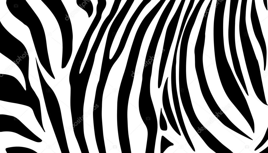 Background Zebra - HD Wallpaper 
