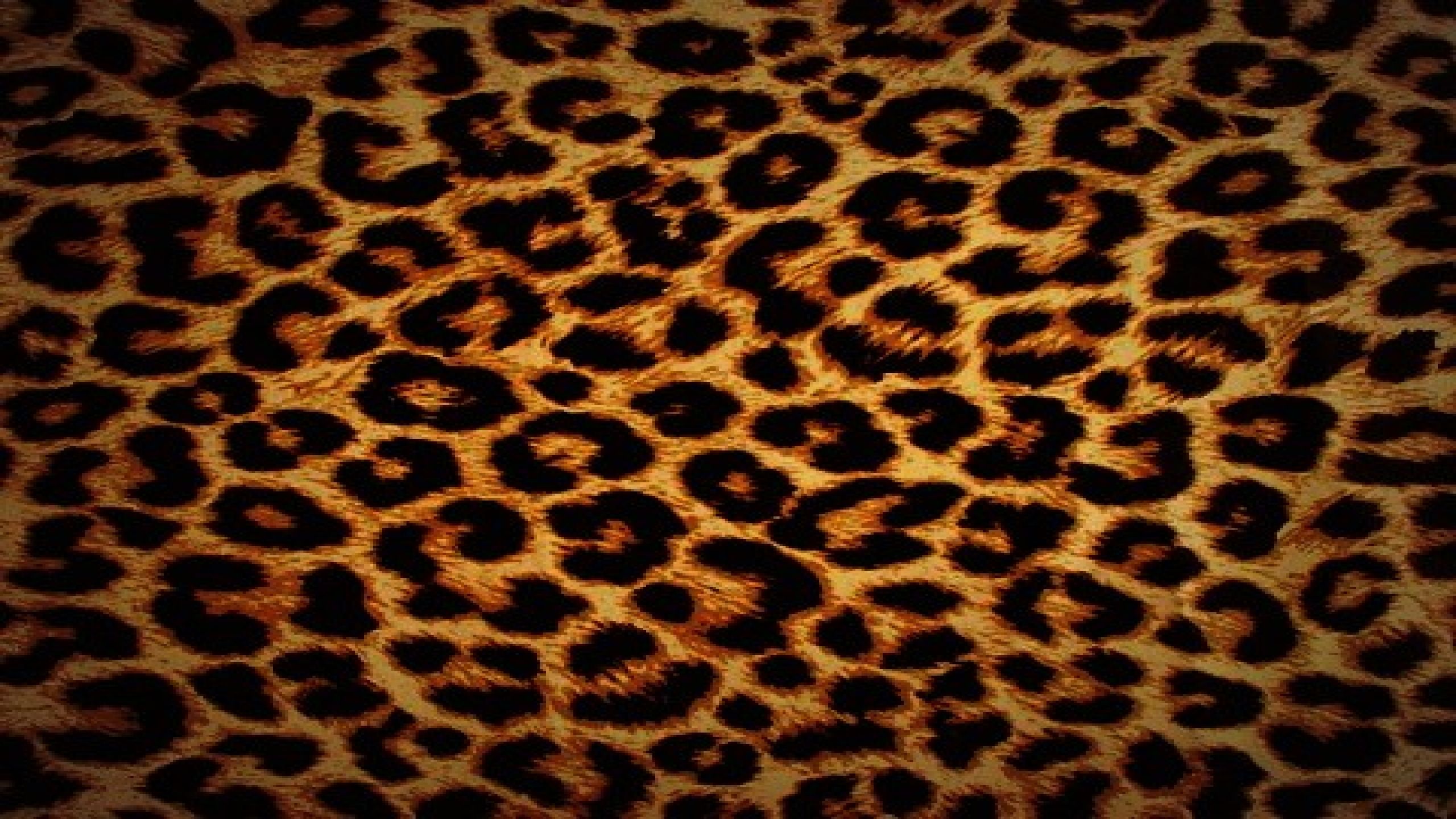 Animal High Definition Wallpapers Free Download - High Resolution Leopard Print Background - HD Wallpaper 