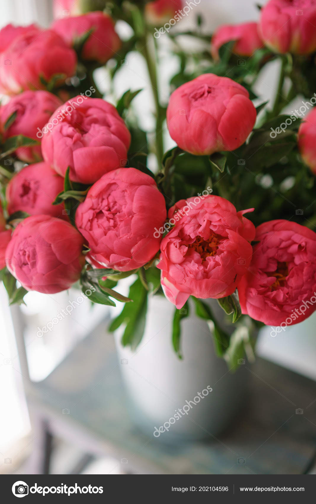 Red Peony Rose Flower - HD Wallpaper 
