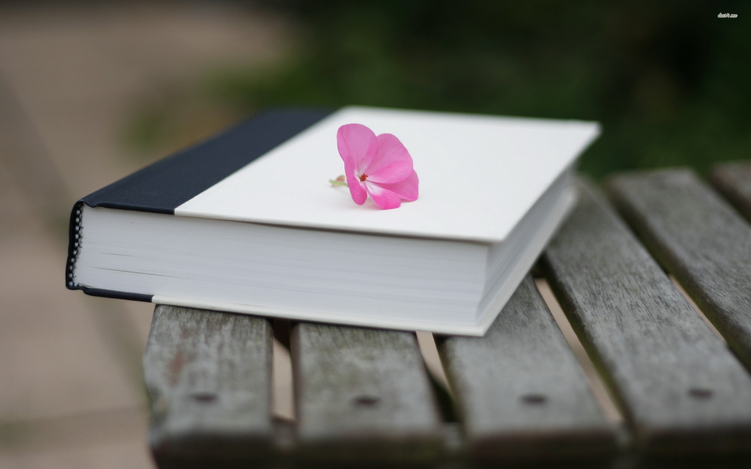 Book Photography With Flower - HD Wallpaper 