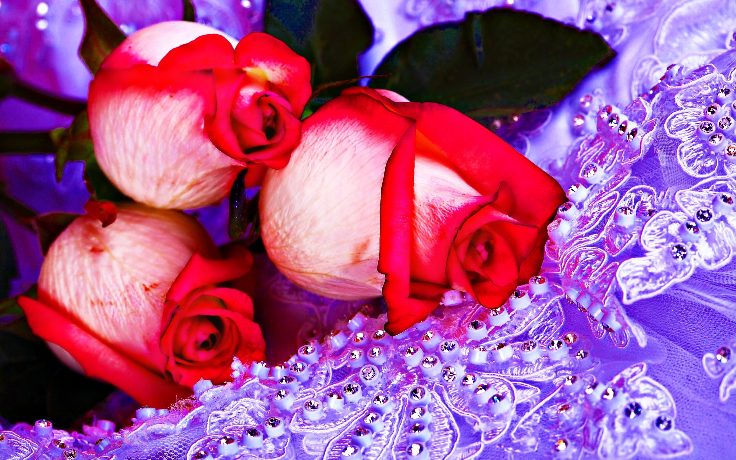 Amazing Flowers Wallpapers For Whats App 
 Data Src - Best Beautiful Flowers - HD Wallpaper 