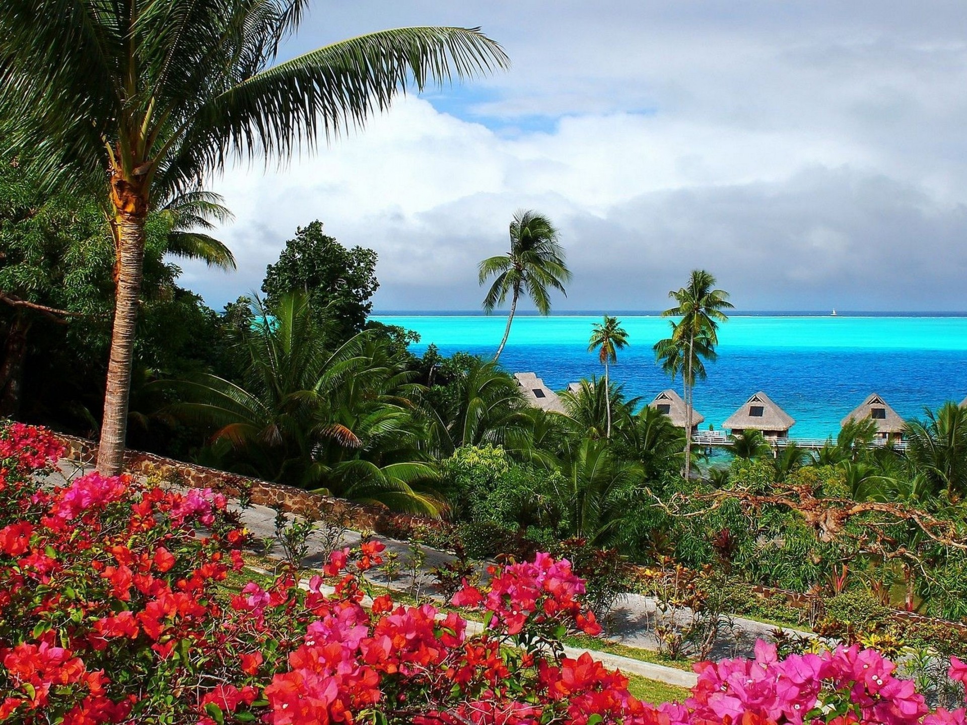 Цветы И Океан - HD Wallpaper 