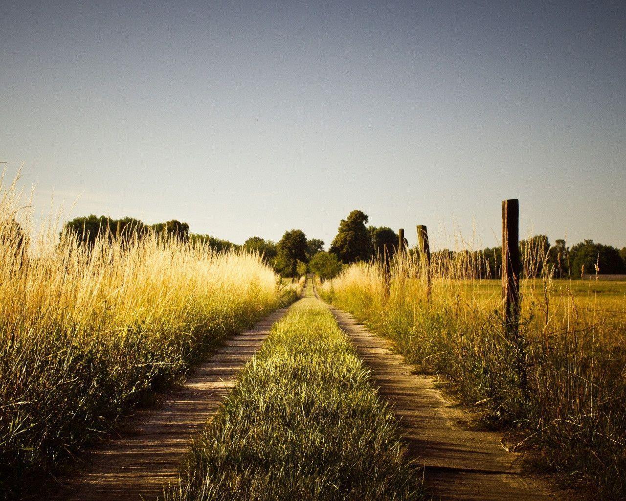 Background Grass With Road - HD Wallpaper 