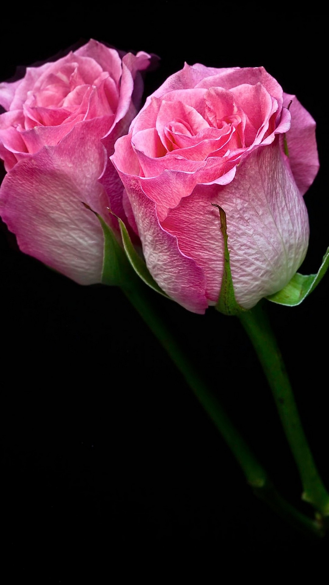 Pink Flower Wallpaper For Mobile Android - Good Night With Flowers - HD Wallpaper 
