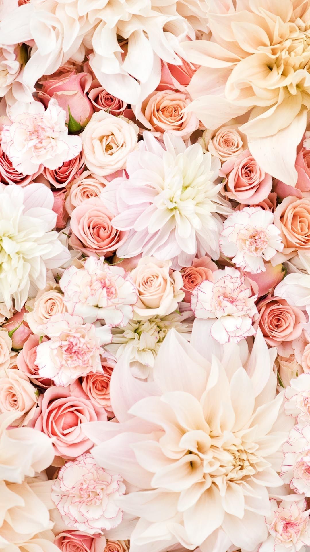 Flower Backgrounds For Iphone - HD Wallpaper 