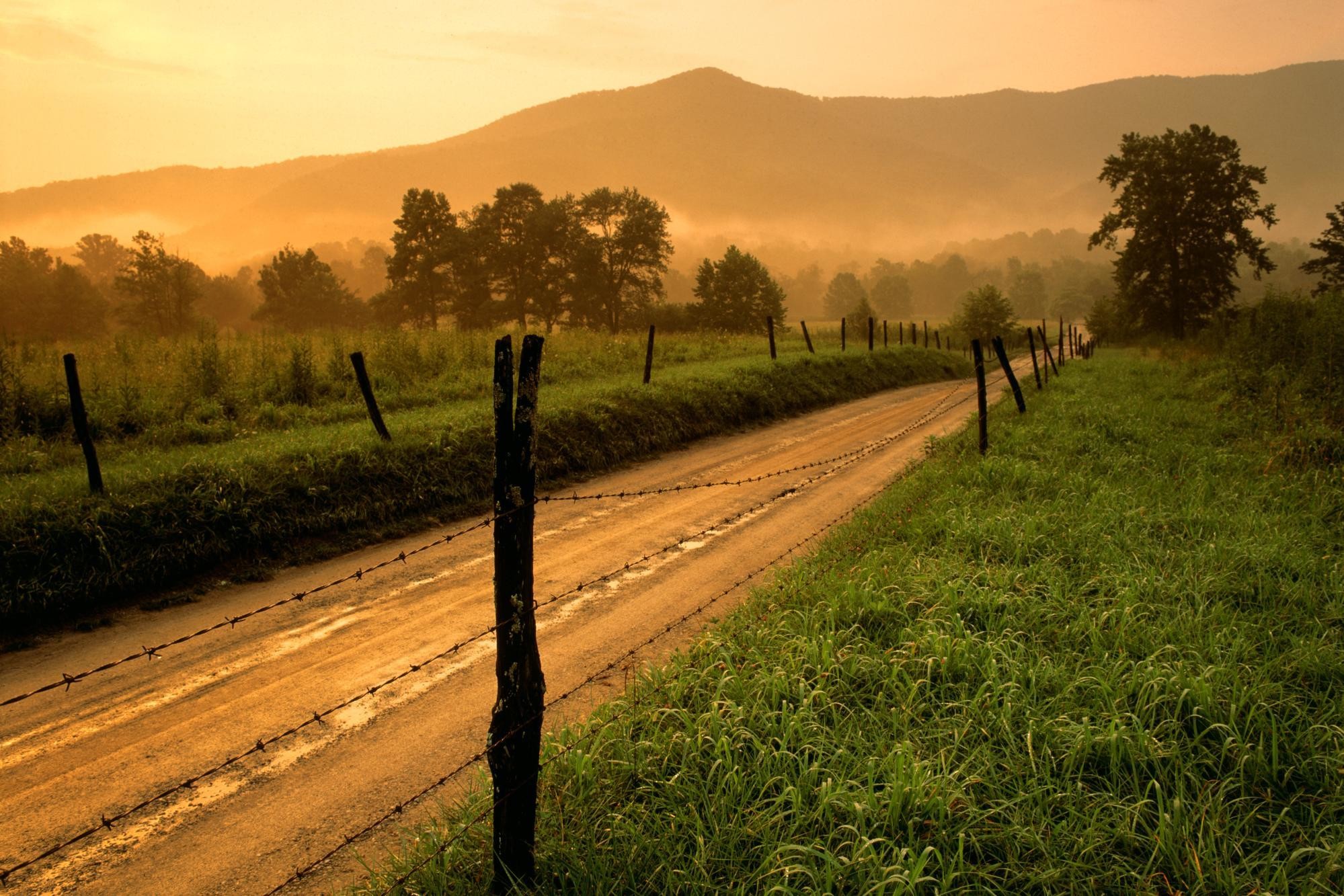 Country Images By Annalisa Dauenhauer On Nmgncp - Old Country Dirt Road - HD Wallpaper 
