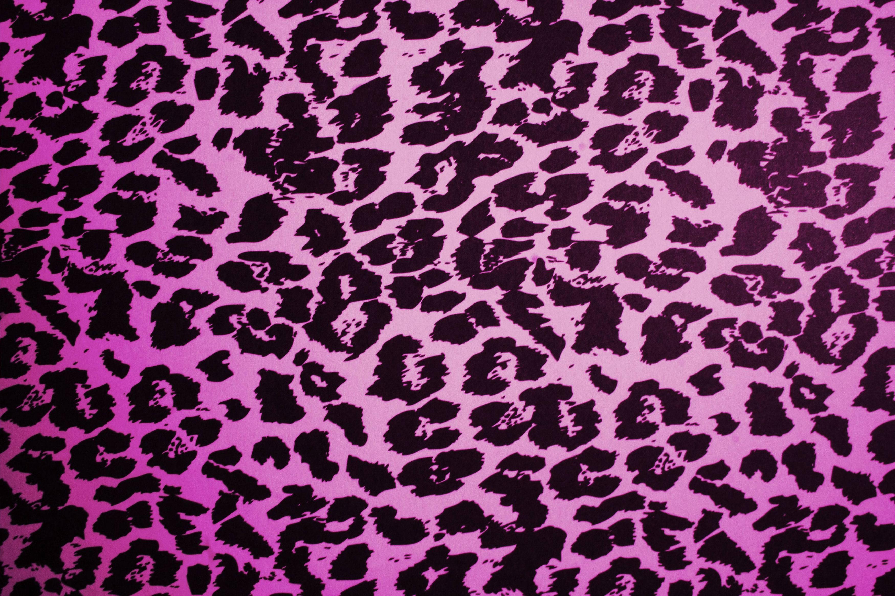 42 Purple Leopard Wallpaper 
 Data-src /img/115616 - Texturas Animal Print - HD Wallpaper 