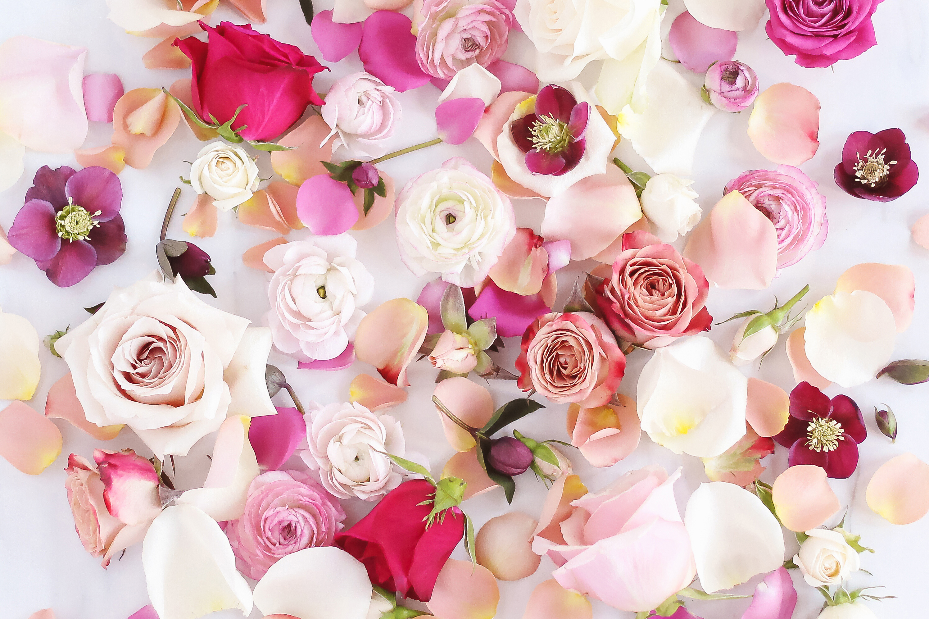 Flower Desktop Backgrounds - HD Wallpaper 