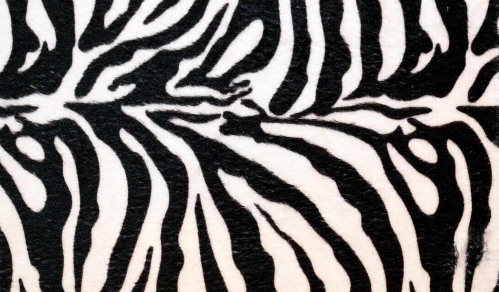 Monochrome - HD Wallpaper 