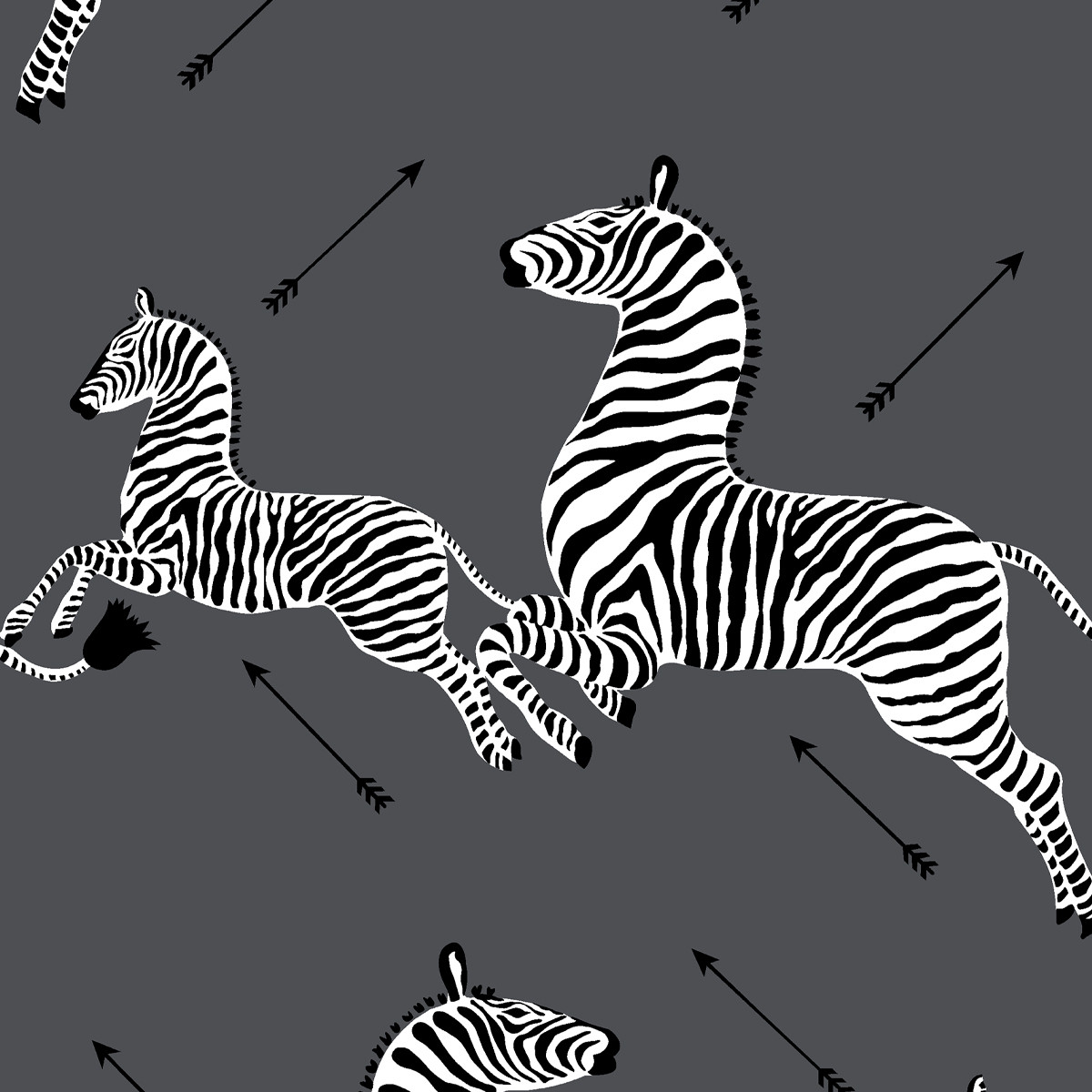 Wes Anderson Wallpaper Zebra - HD Wallpaper 
