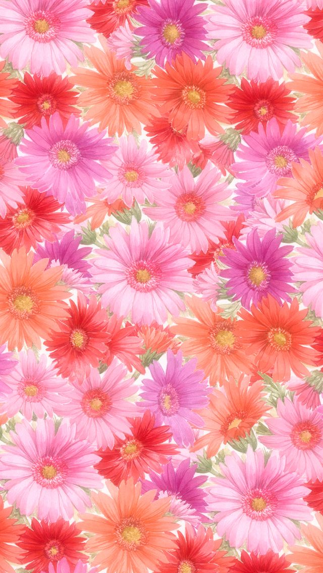 Iphone 6 Wallpaper Hd Flowers - HD Wallpaper 