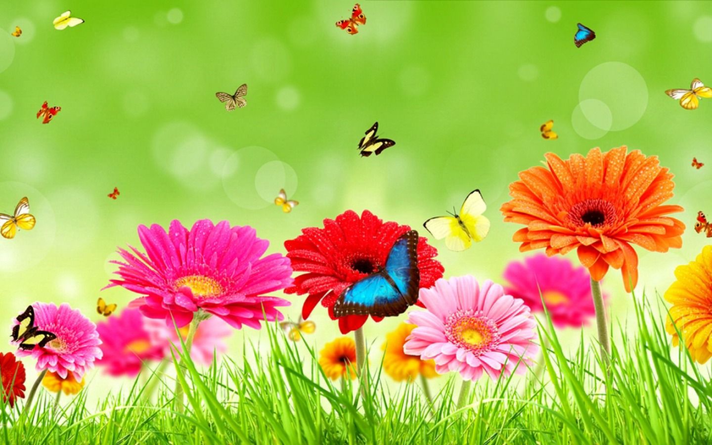 Birthday Flower Background Hd - HD Wallpaper 