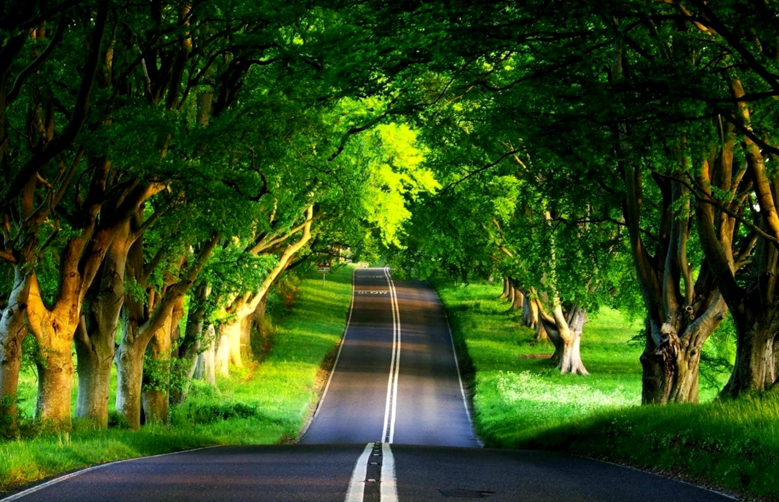 Landscapes Road Country Landscape Nature Wallpaper - Best Nature Wallpaper Hd - 1545x997 Wallpaper Landscapes Road Country Landscape Nature Wallpaper - Best Nature Wallpaper Hd - 1545x997 Wallpaper