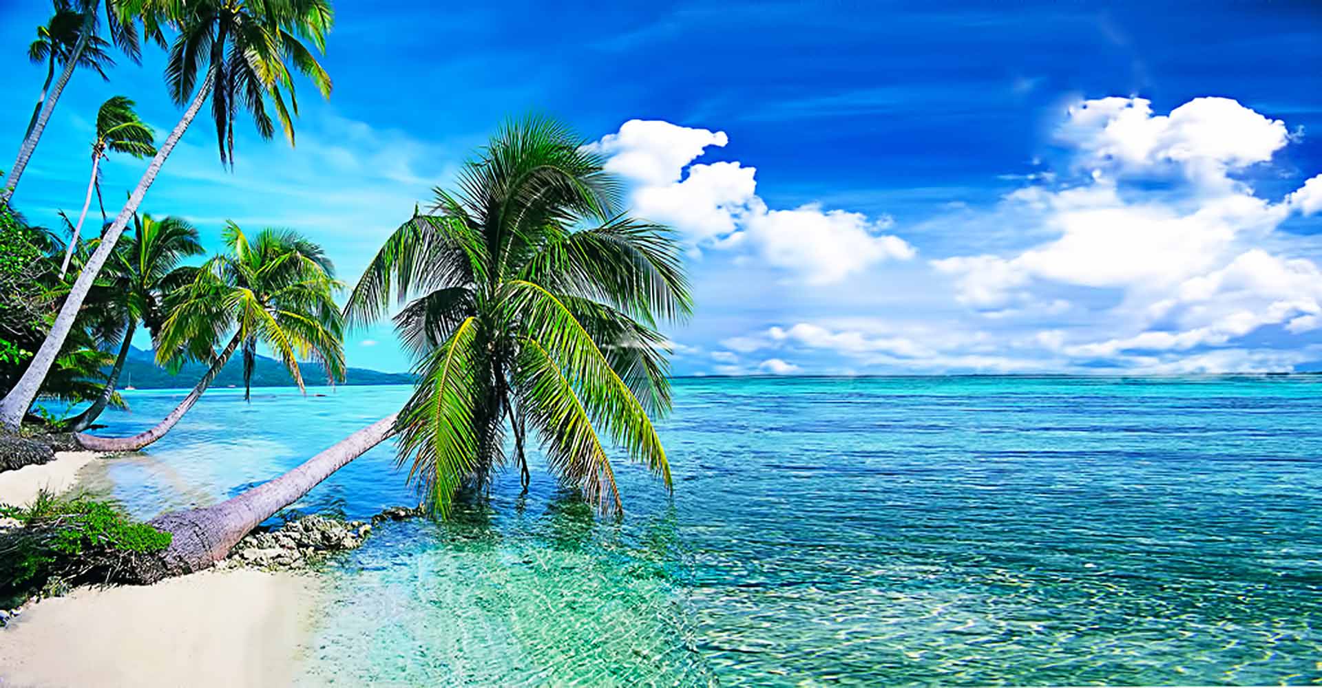 Tropical Beach Clear Water - HD Wallpaper 