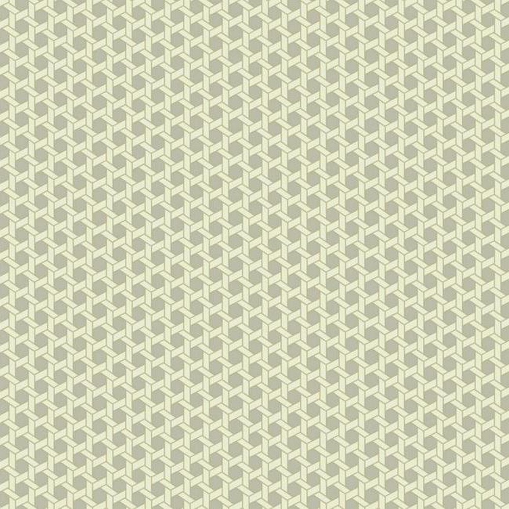 Wallpaper - HD Wallpaper 