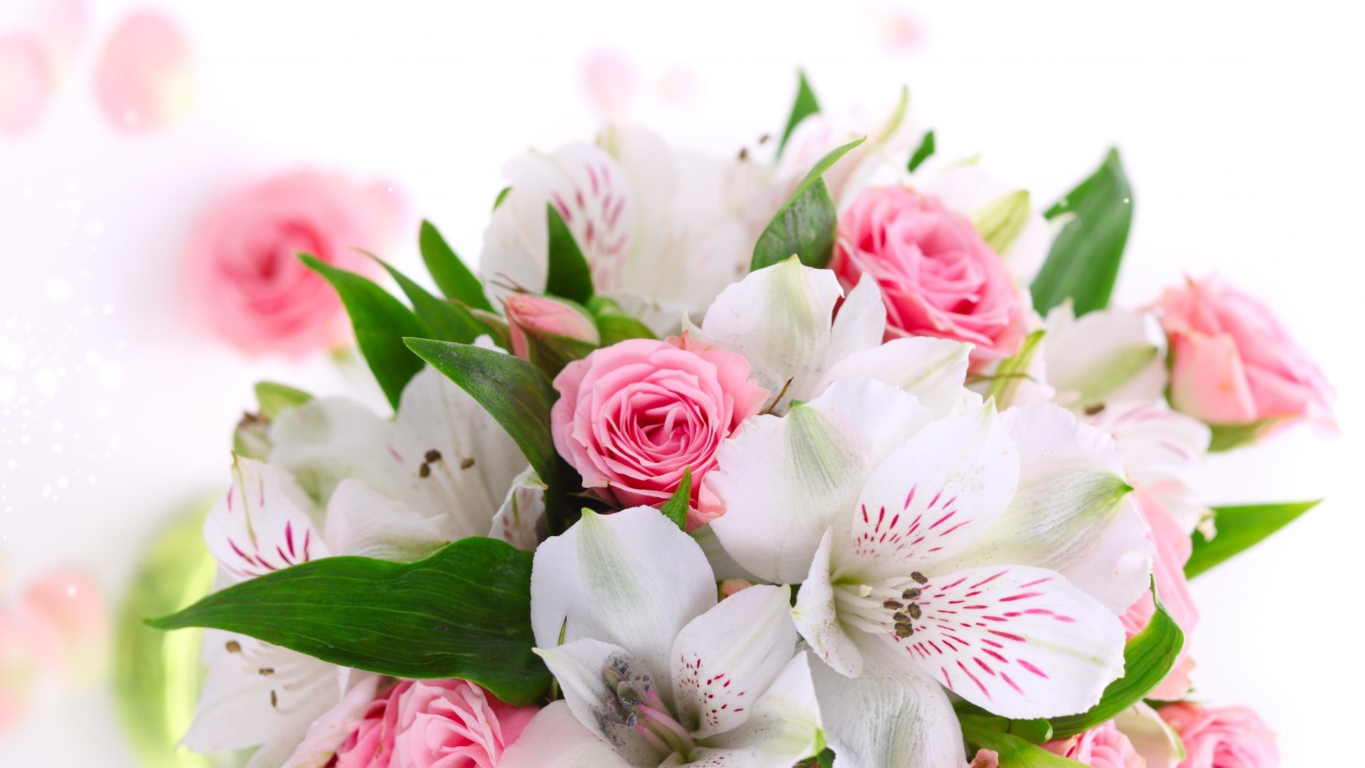 Daisies Sand White Beautiful Lovely Flowers Bouquet - Życzenia Na Dzień Matki - HD Wallpaper 