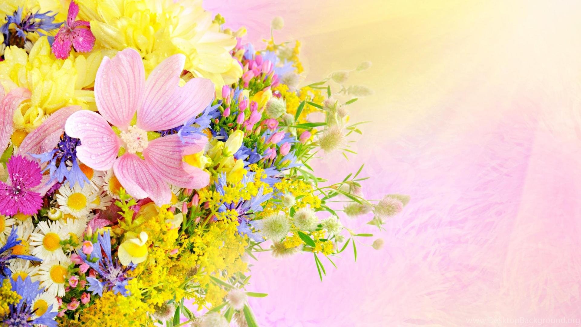 Lovely Flowers Wallpapers - Flower Themes For Windows 7 - HD Wallpaper 