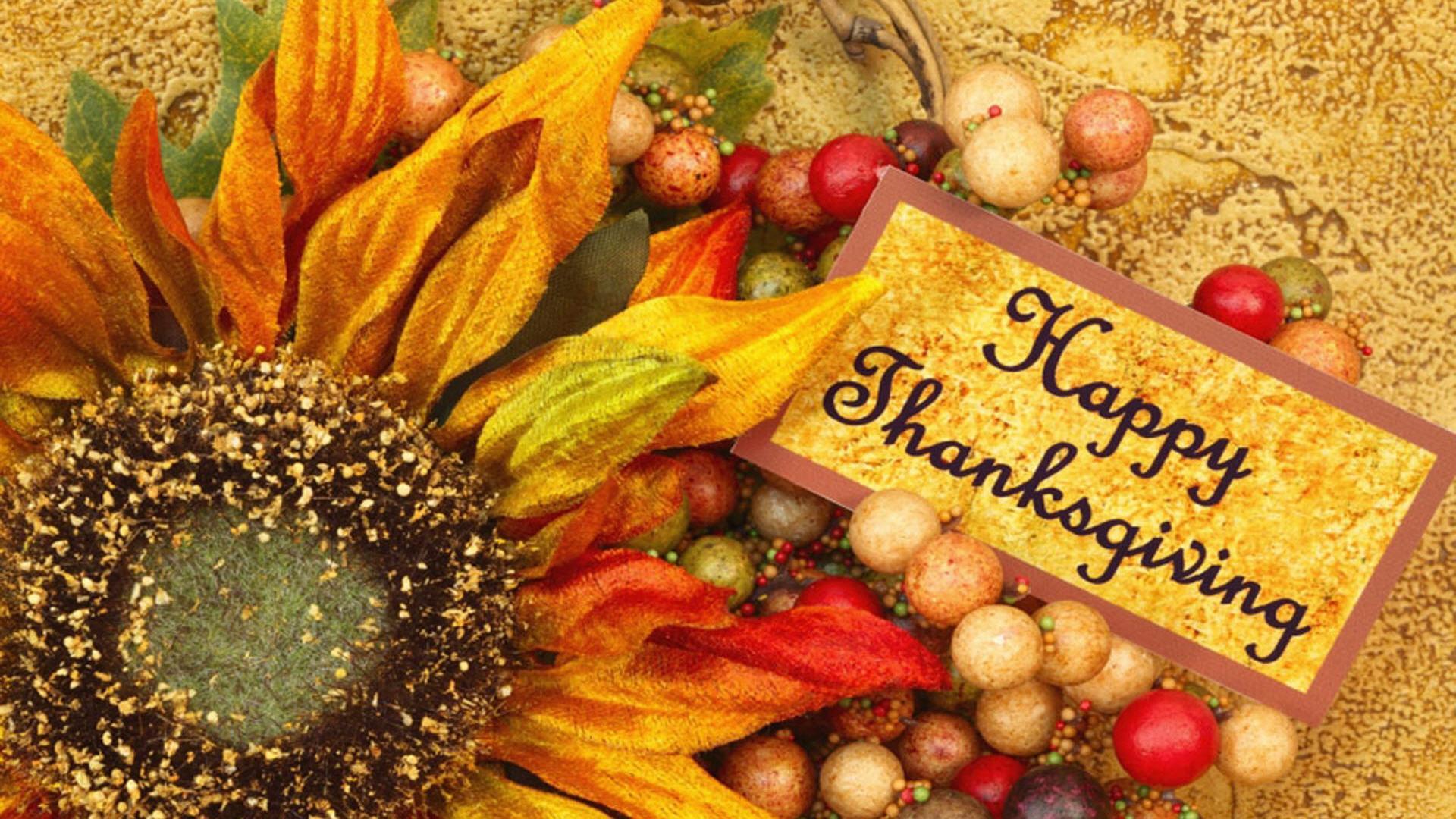 Thanksgiving Screensavers - HD Wallpaper 