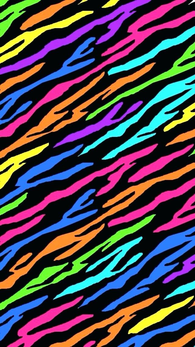 Rainbow Zebra - HD Wallpaper 